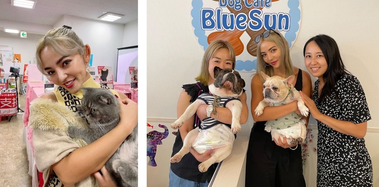 保護犬猫啓発＆寄付活動